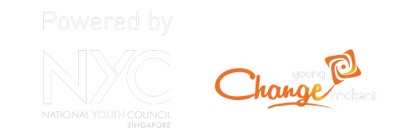 National Youth Council